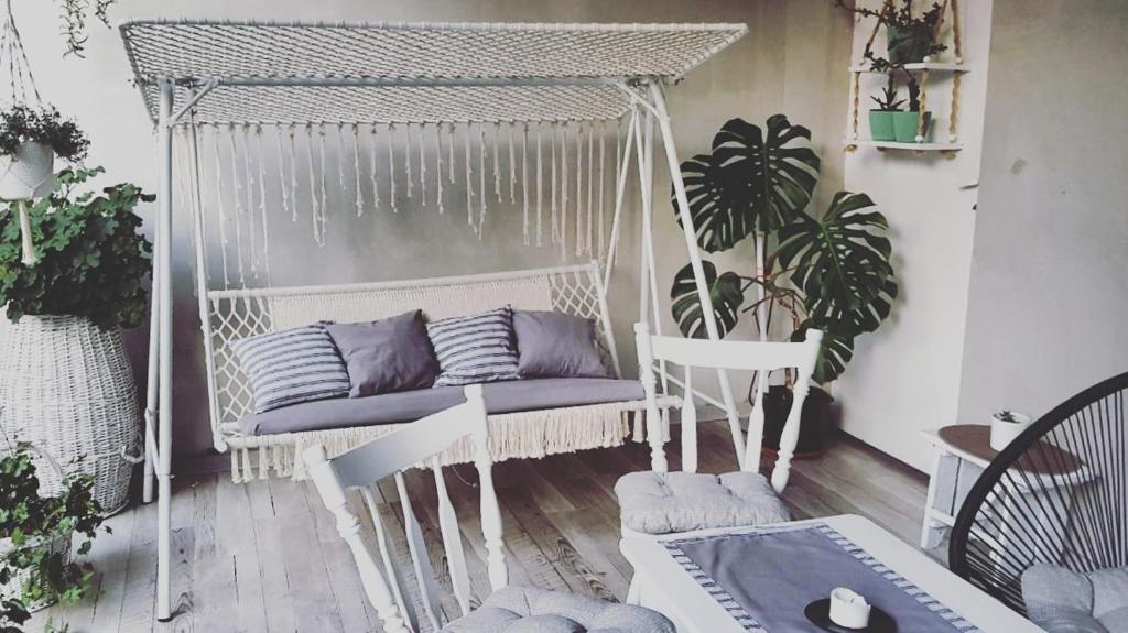 Cozy apartment in Kikinda photo 1