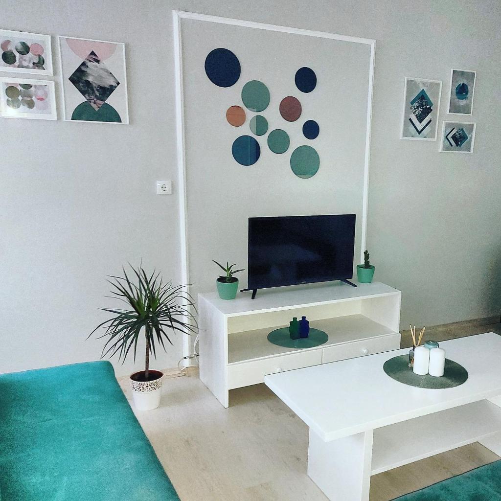 Cozy apartment in Kikinda photo 4