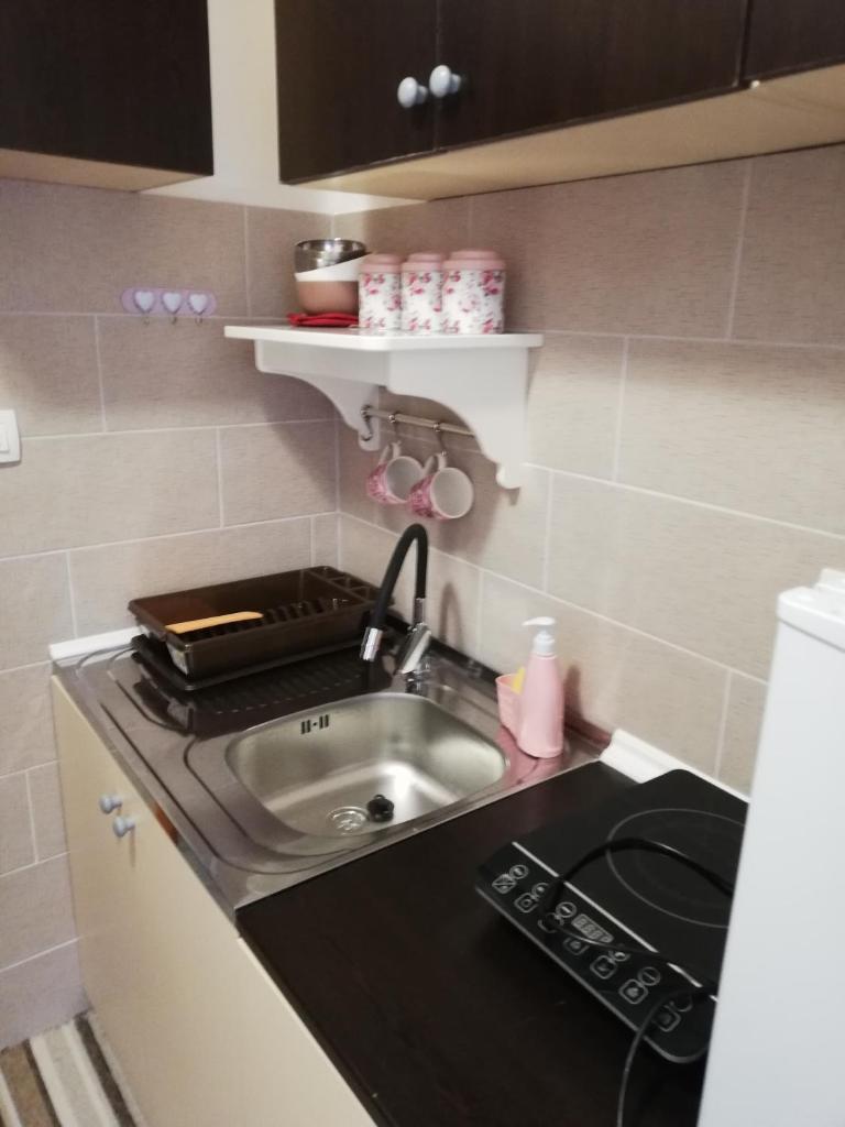 Studio apartman Small Lili photo 2