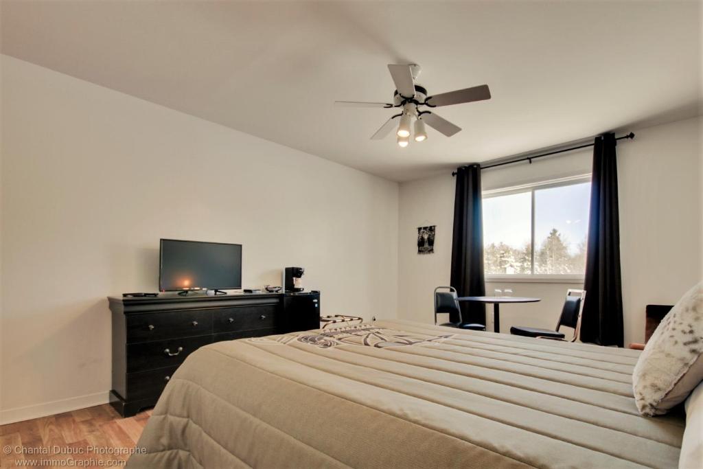 Auberge motel drakkar photo 1