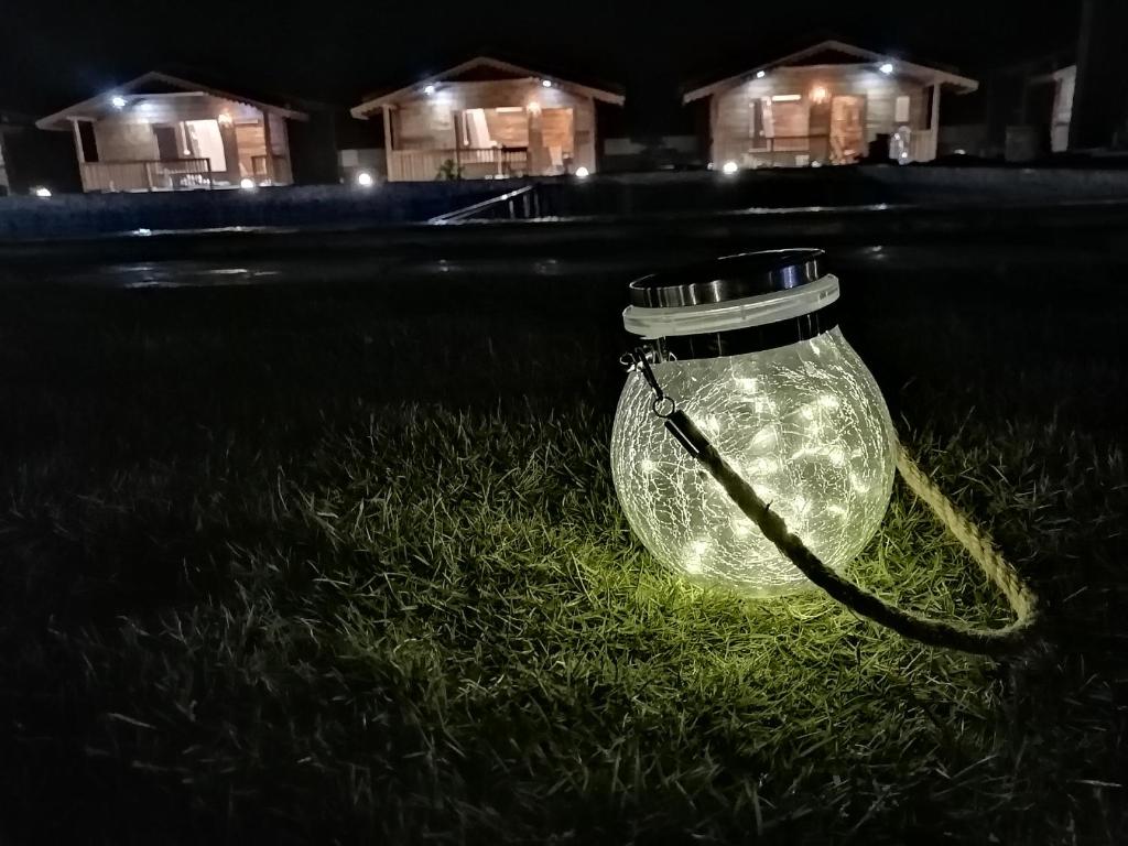 Radhika Eco Resort(Odonata) photo 3