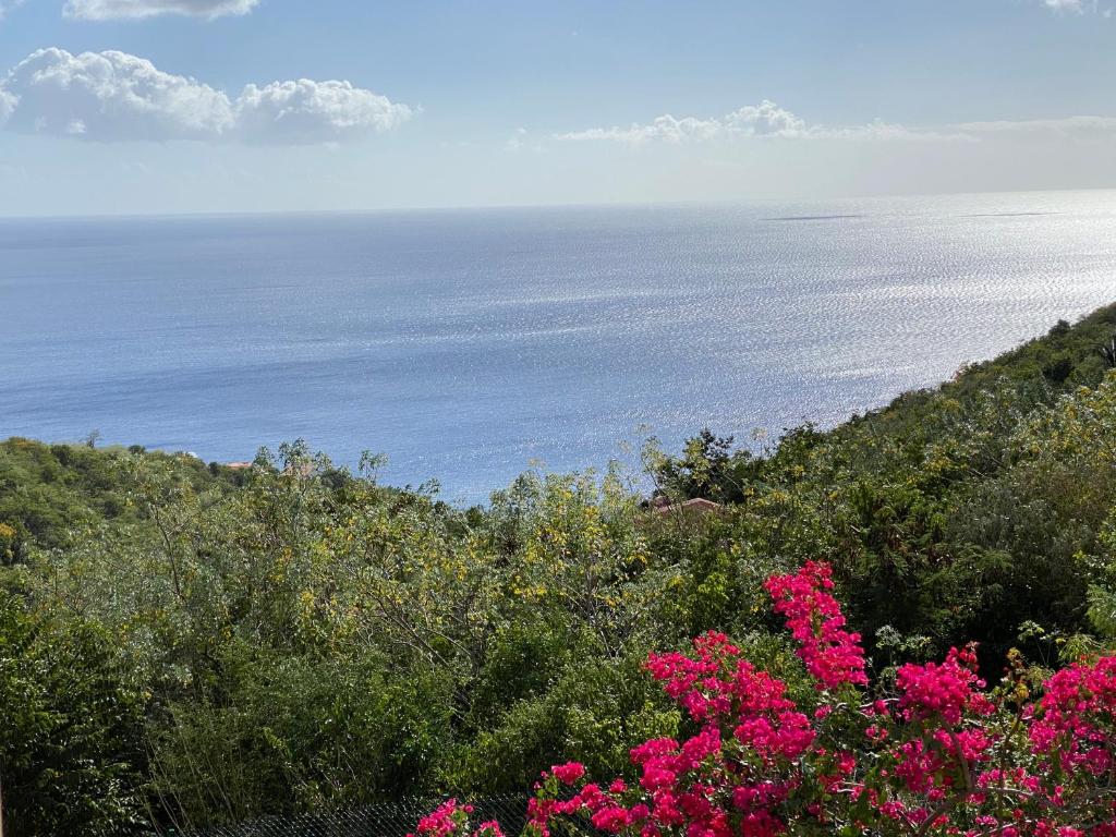 Locations Morne aux Vents photo 1