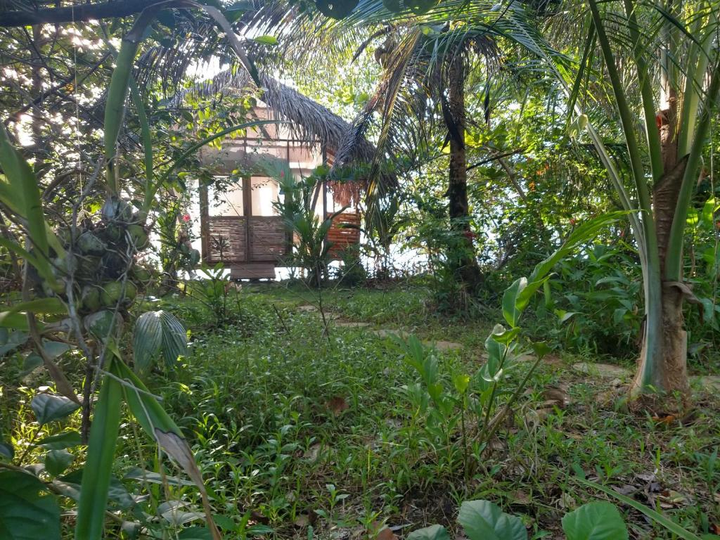 CocoVivo photo 2