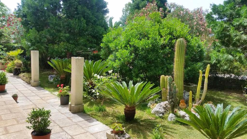6 bedrooms house with shared pool jacuzzi and enclosed garden at Muro Leccese photo 3