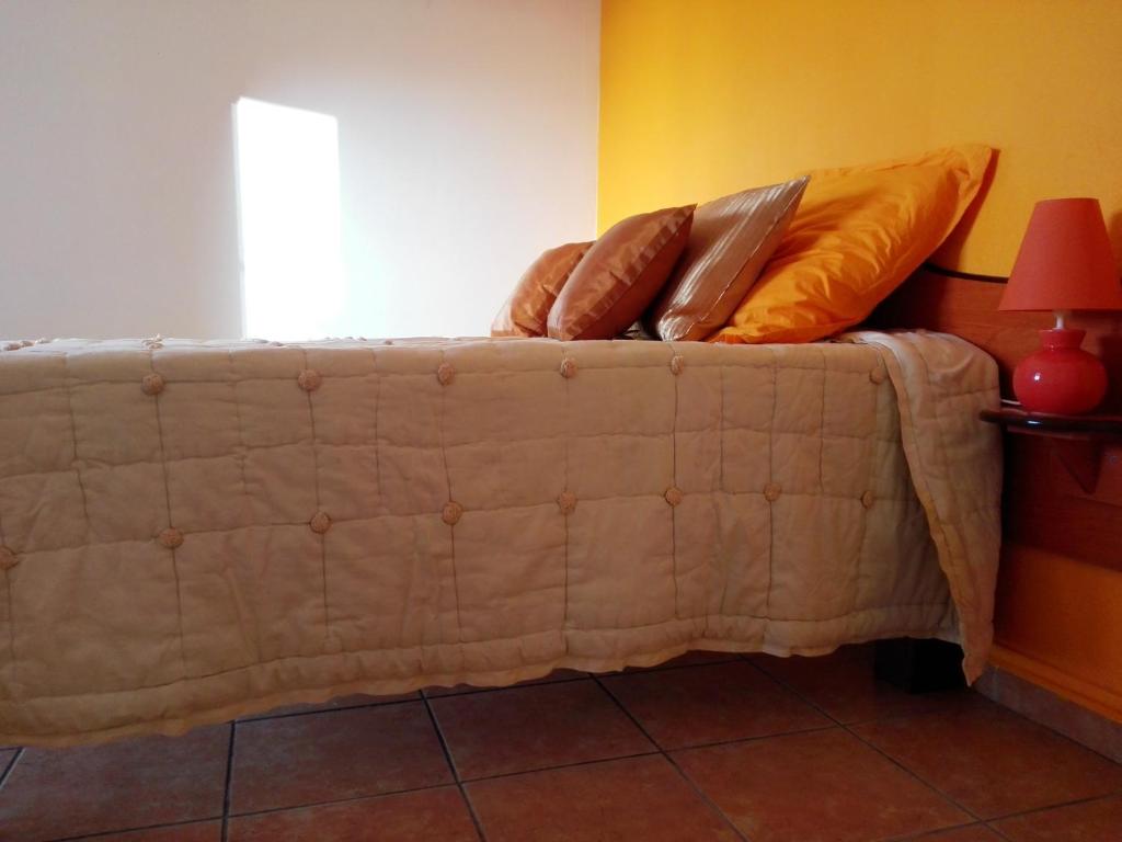 Appartement de 2 chambres avec piscine partagee jardin amenage et wifi a Le Moule a 1 km de la plage photo 4