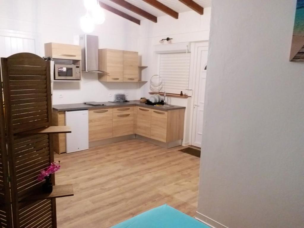 Appartement d'une chambre avec jardin amenage et wifi a Petit Bourg photo 1