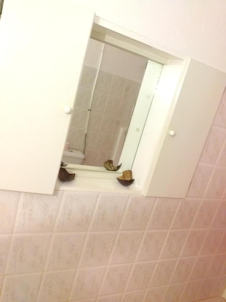 Appartement d'une chambre avec jardin clos et wifi a Morne A l'Eau photo 3