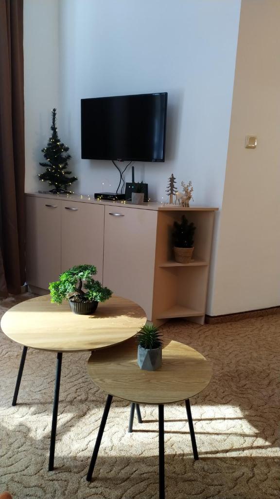 Elitsa Apartment photo 3