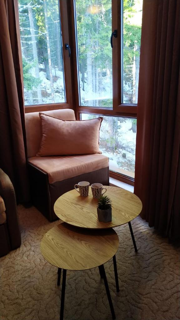 Elitsa Apartment photo 1