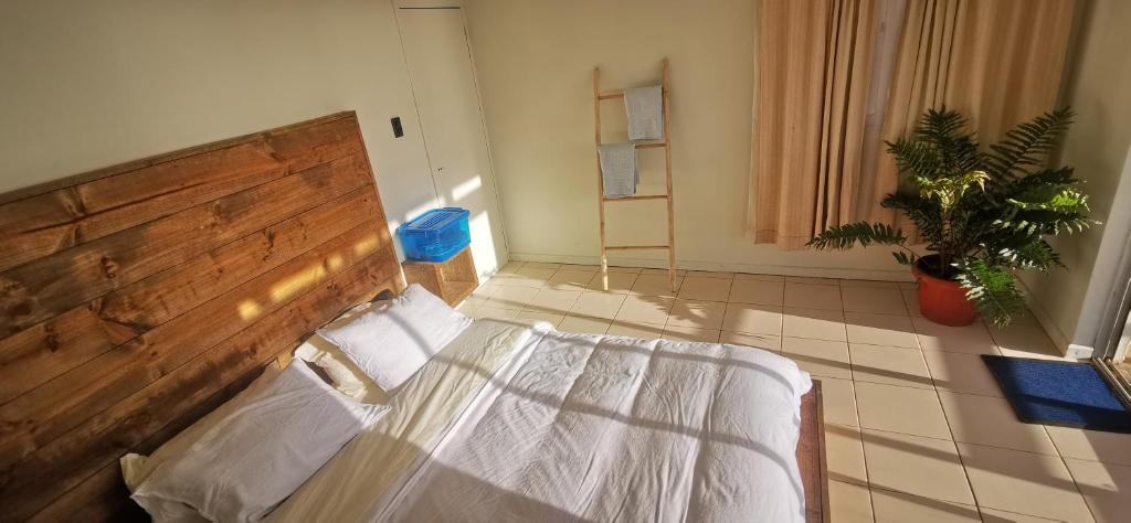 Sudeste Hostel photo 3