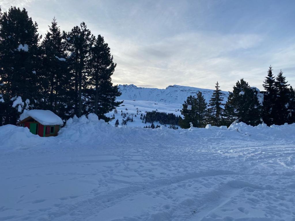 Appartamento Alpe di Siusi photo 4