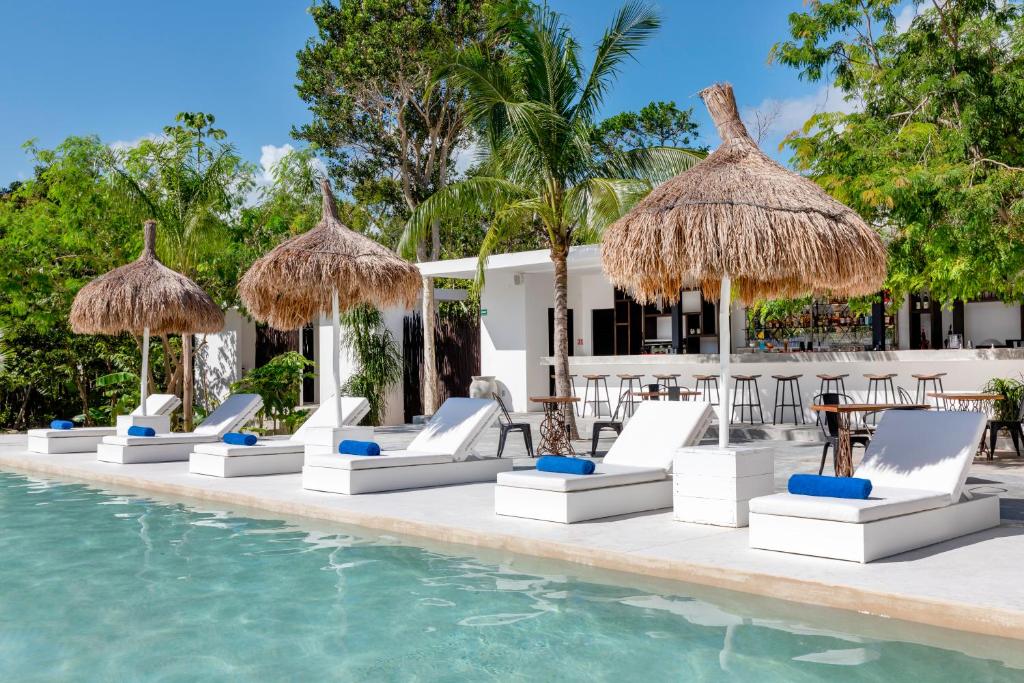 Jungle Lodge Boutique Hotel - Adults Only photo 4