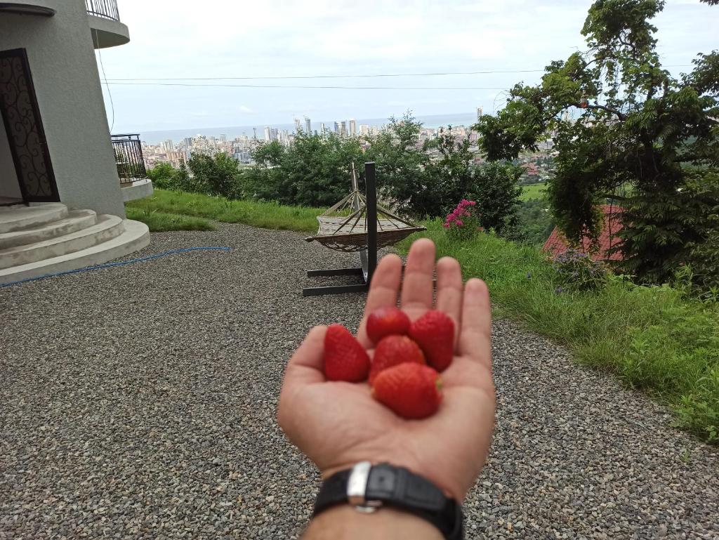 Dream Panorama Villa Batumi photo 4