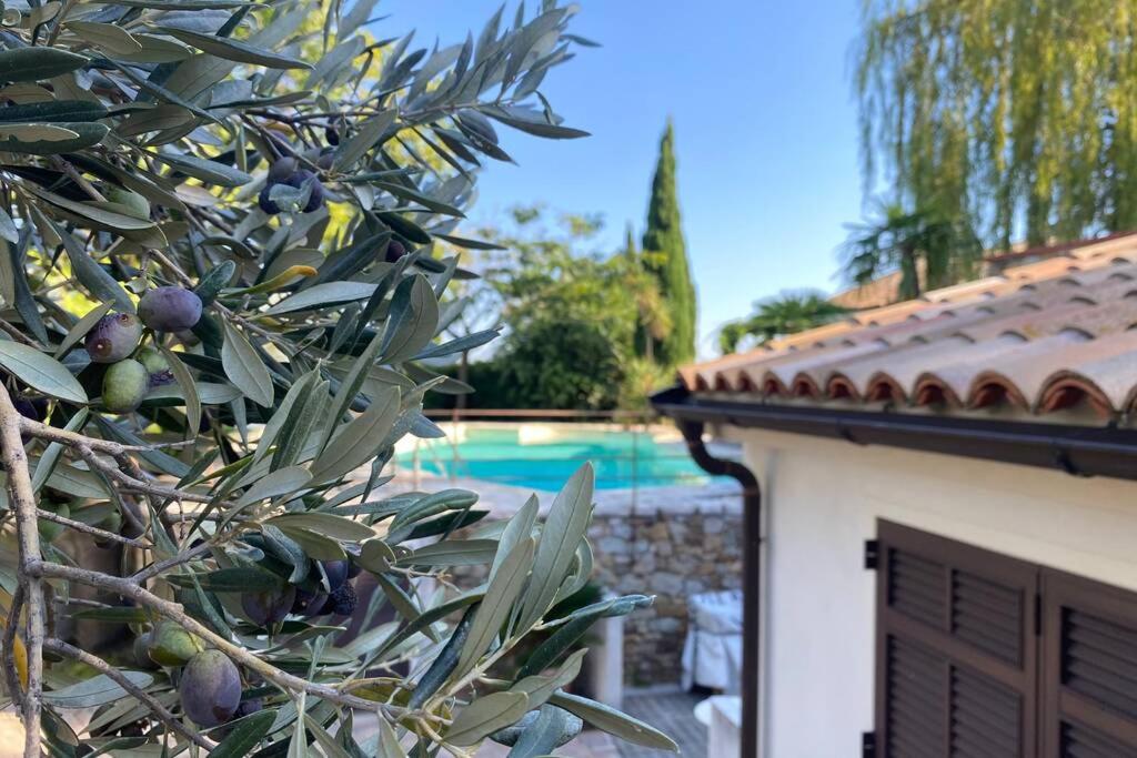 Relais San Sebastiano photo 1