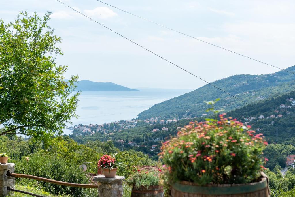 Sea View Apartment with Garden near Opatija photo 2