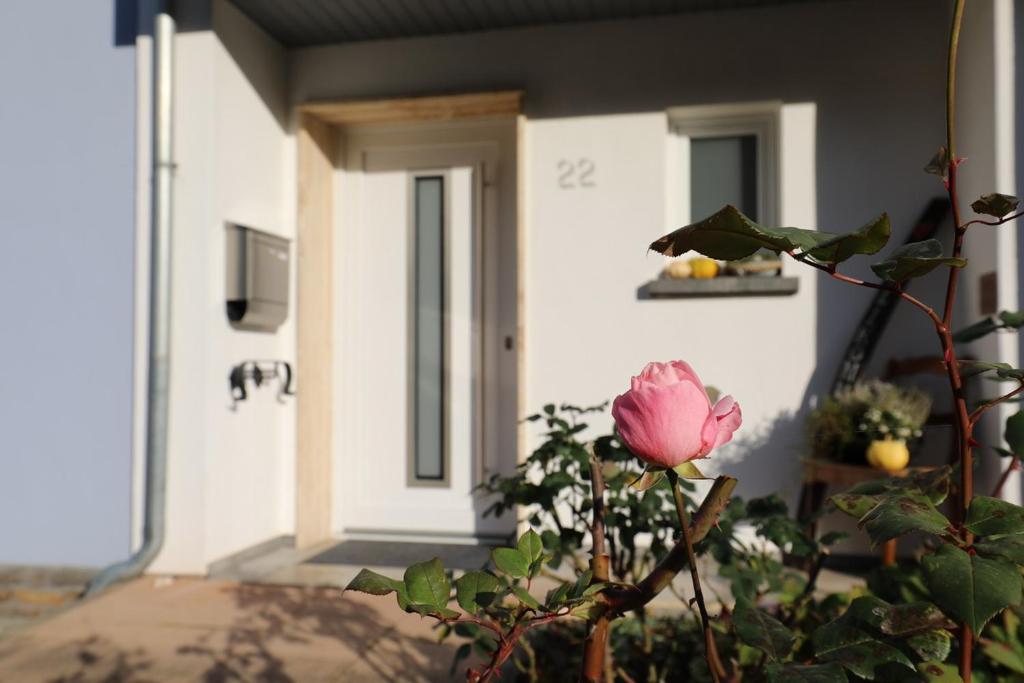 Ferienwohnung Ankerplatz photo 1