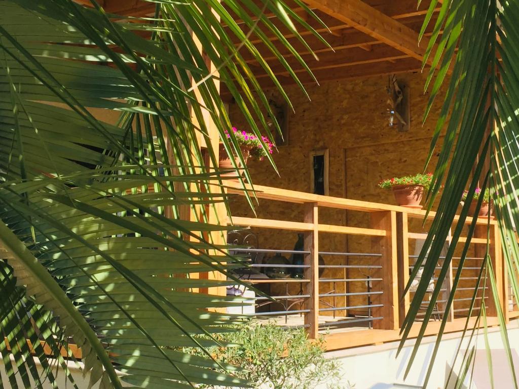 LE CLOS DES VIGNES photo 4