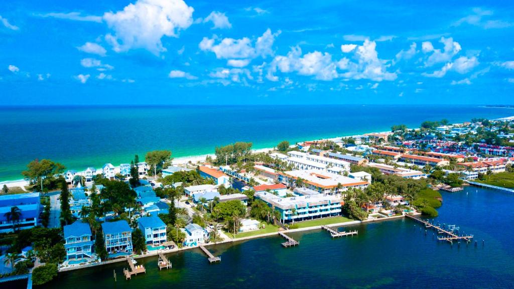 Anna Maria Island Beach Palms 8B image