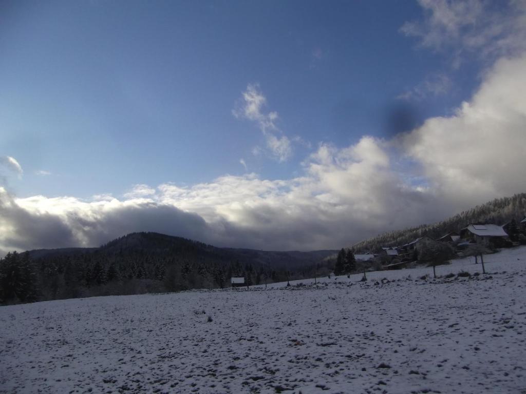 Schwarzwald-Gasthof Hirsch photo 2