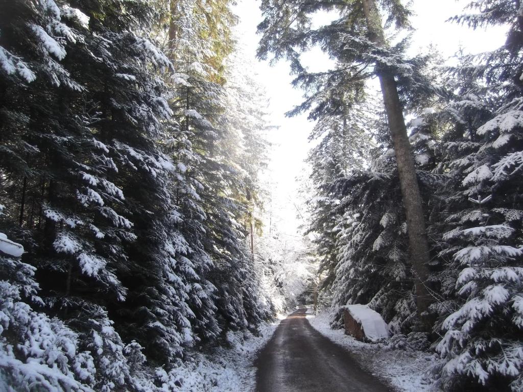 Schwarzwald-Gasthof Hirsch photo 1