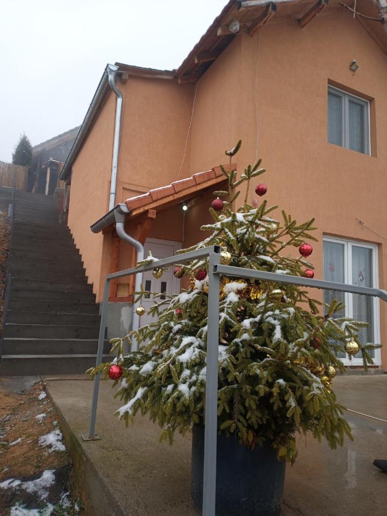 Apartman Visnja photo 1
