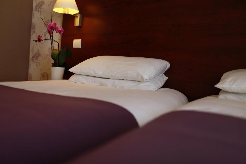 Двухместный (Двухместный номер с 2 отдельными кроватями), Hôtel Alane