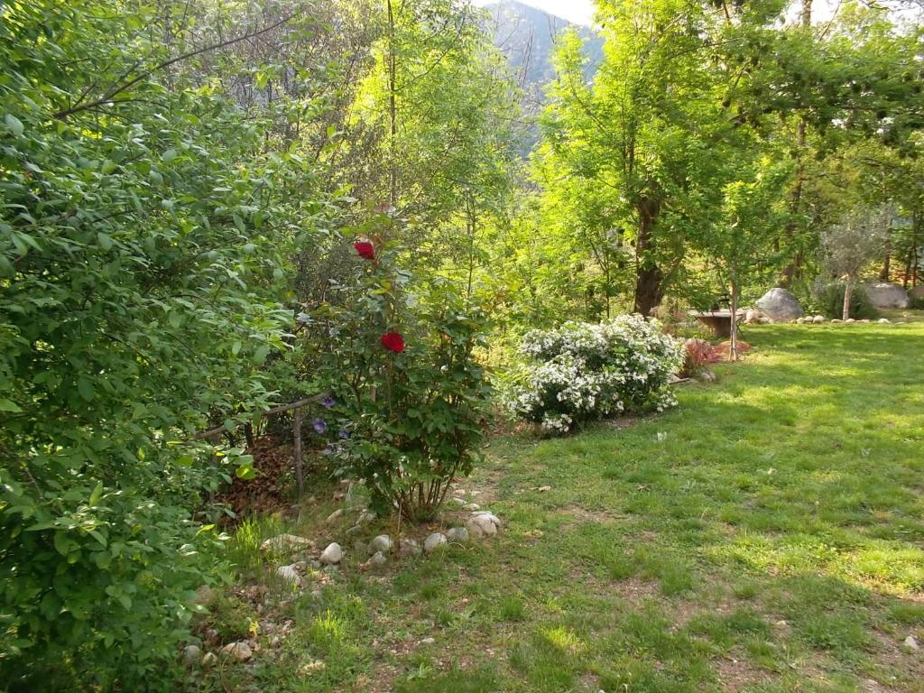 Las Aires photo 2