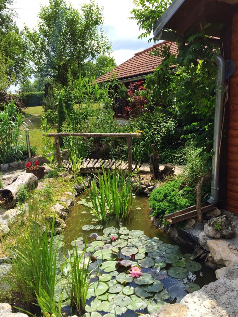 One bedroom appartement with shared pool furnished garden and wifi at Rakovica photo 4