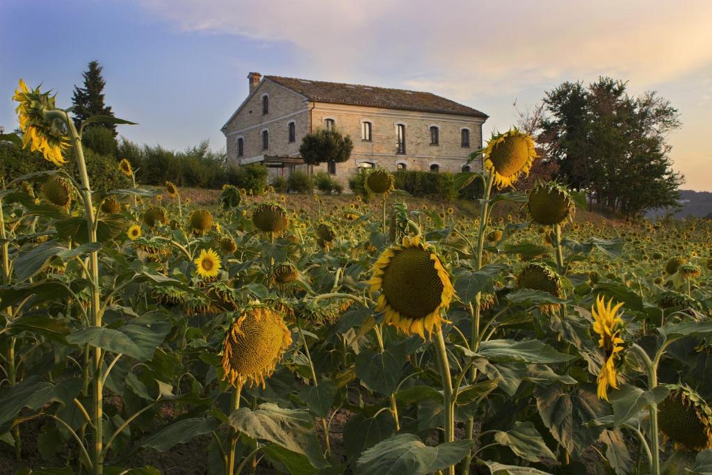 6 bedrooms villa with private pool enclosed garden and wifi at Montecarotto photo 2