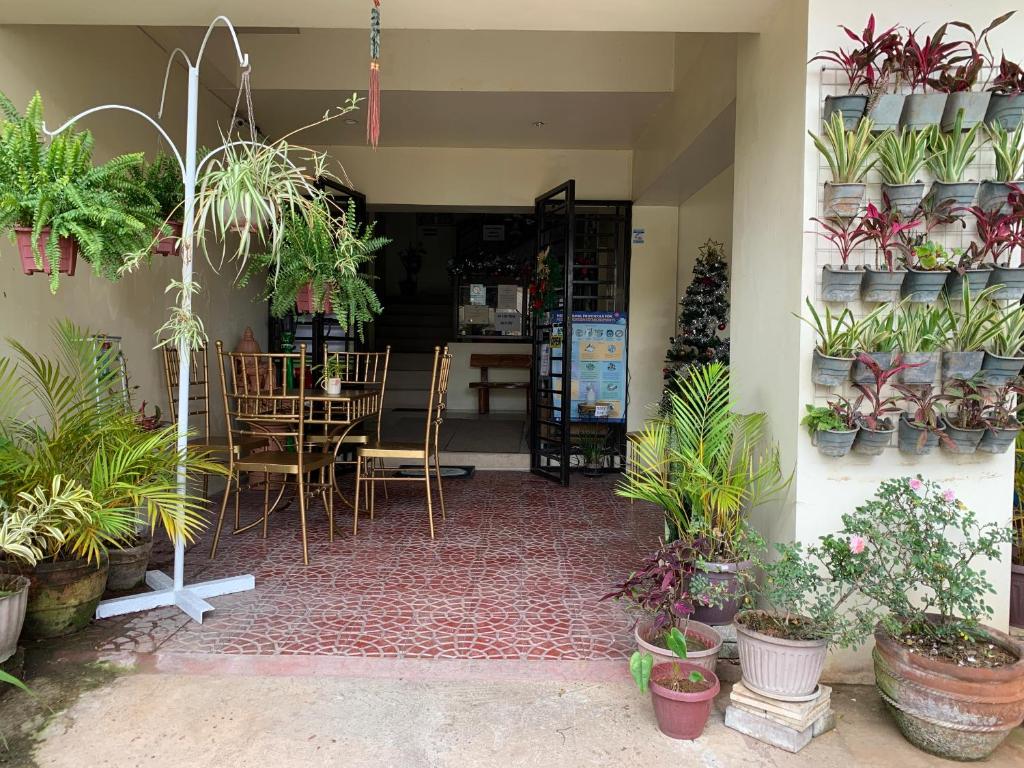 Sisko Inn photo 3