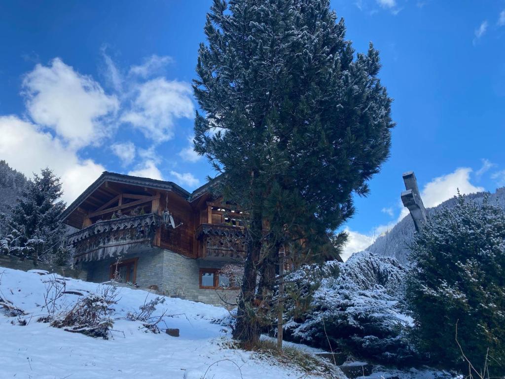 Lodge Jardin Secret - Propriétés Mont Amour photo 1