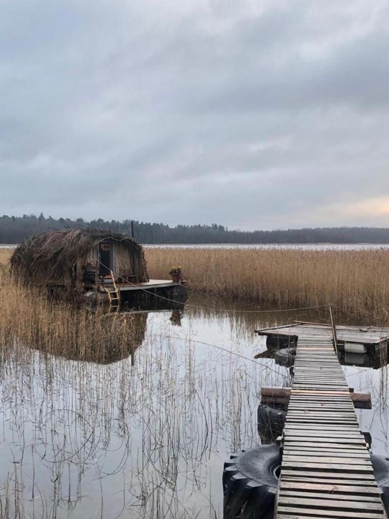 Bebru māja - Beaver house photo 3