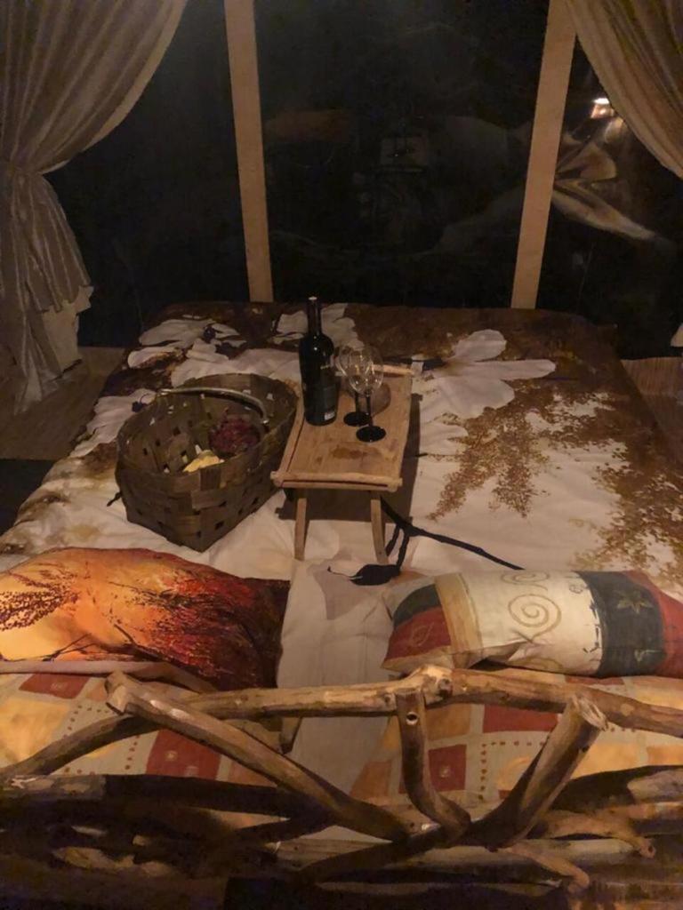 Bebru māja - Beaver house photo 1