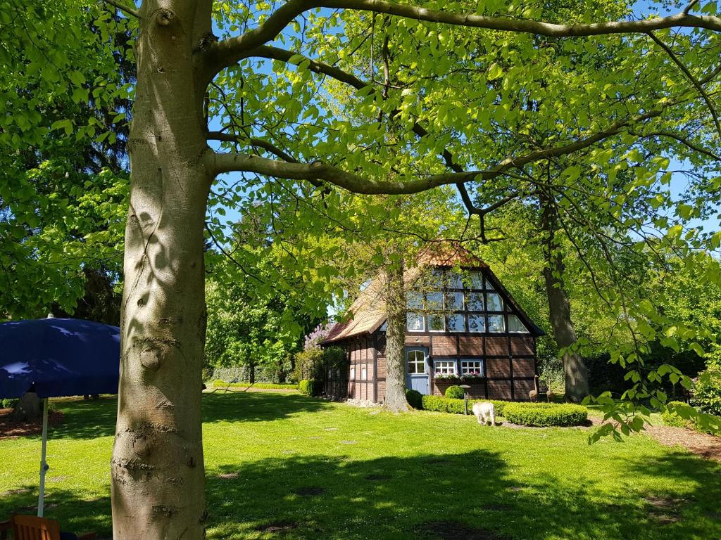 Gästehaus am Kattensteert photo 1