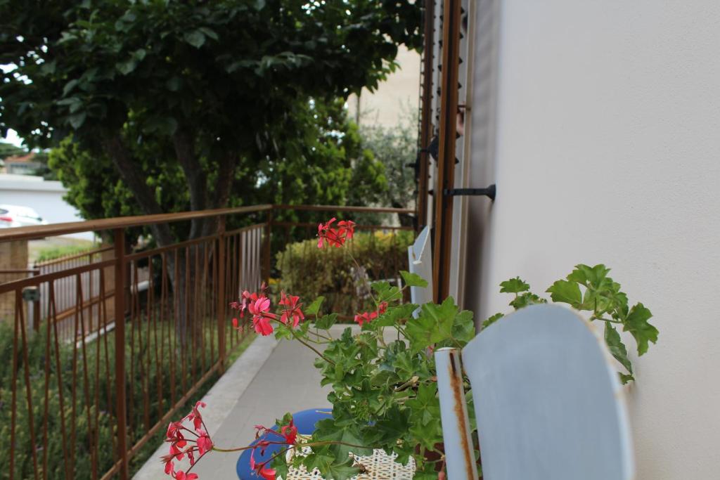 Alle Terme B&B photo 4