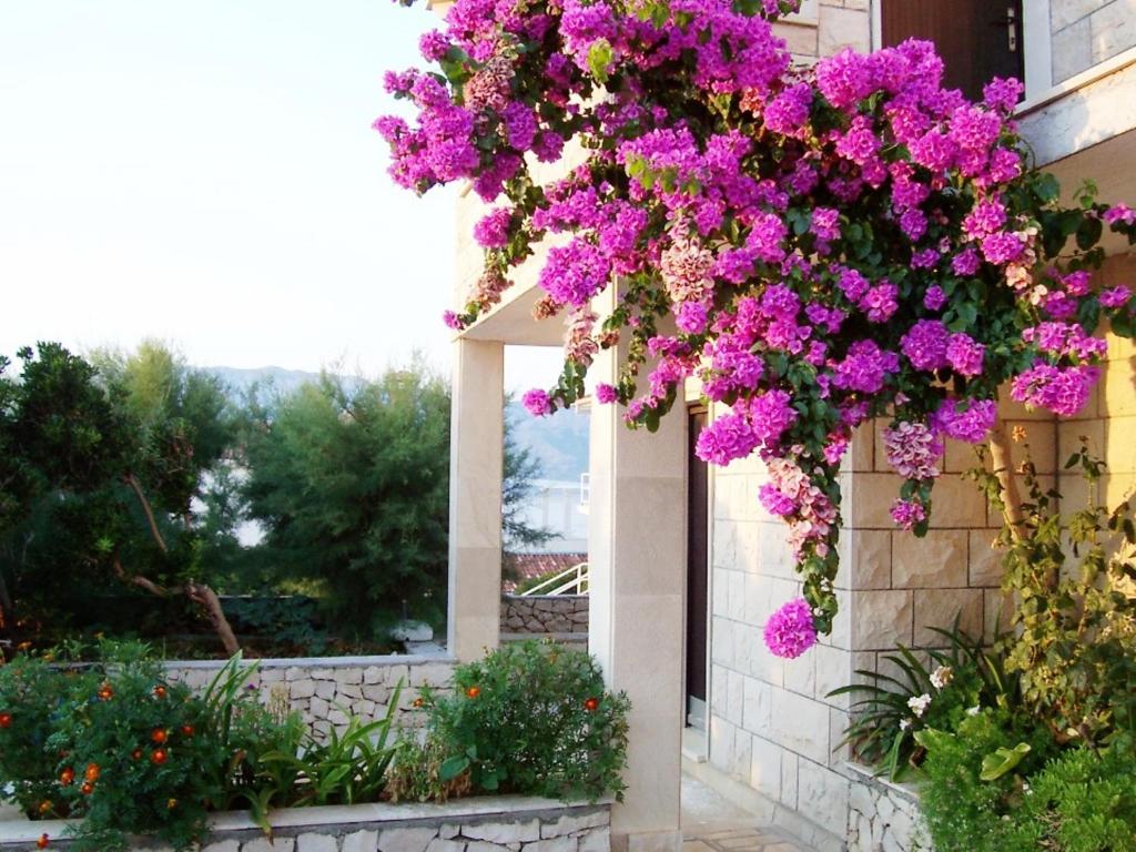 Apartments Villa Vanja photo 2