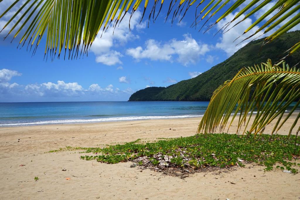Dominican Tree House Village photo 4