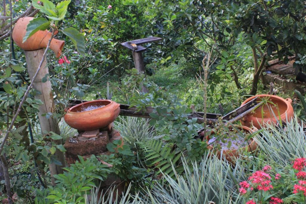 Casa el Colibrí, Finca Cerros de Payuco photo 2