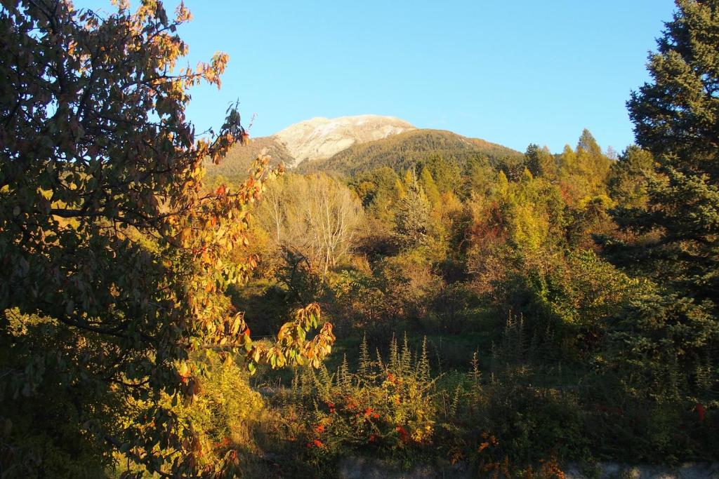 Gite Noisette, Saint André d'Embrun photo 3