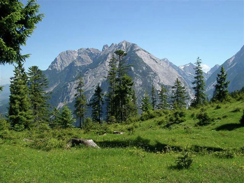 Snug Apartment in Seefeld in Tirol with Infrared Sauna photo 3