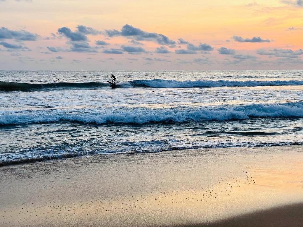 Hikkaduwa backyard beach homestay photo 1