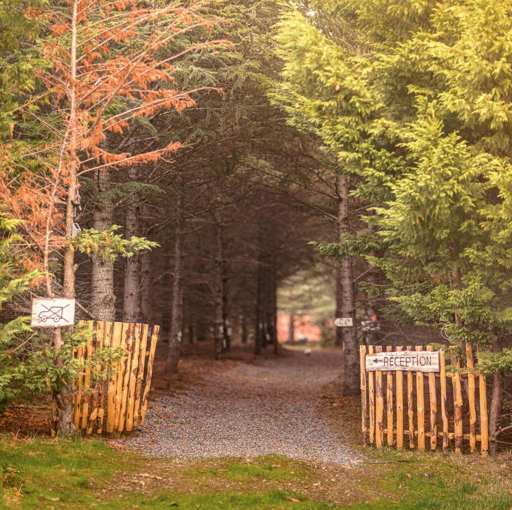 Domaine de la Vitarelle Glamping photo 2