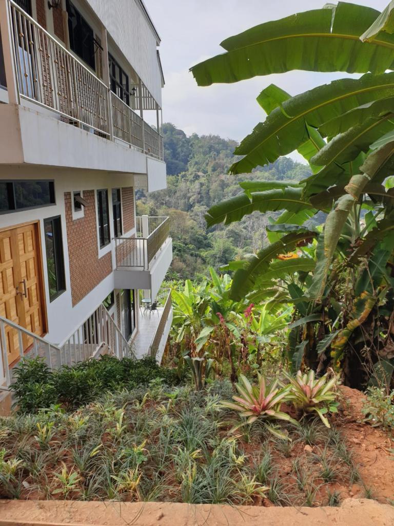 DOI TUNG Anisa Homestay photo 1