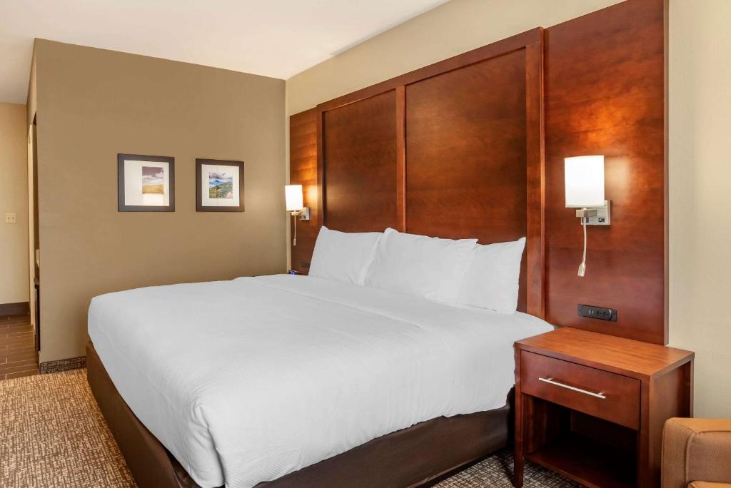 Comfort Inn & Suites photo 4