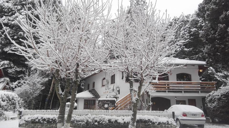 Posada de la Flor photo 4