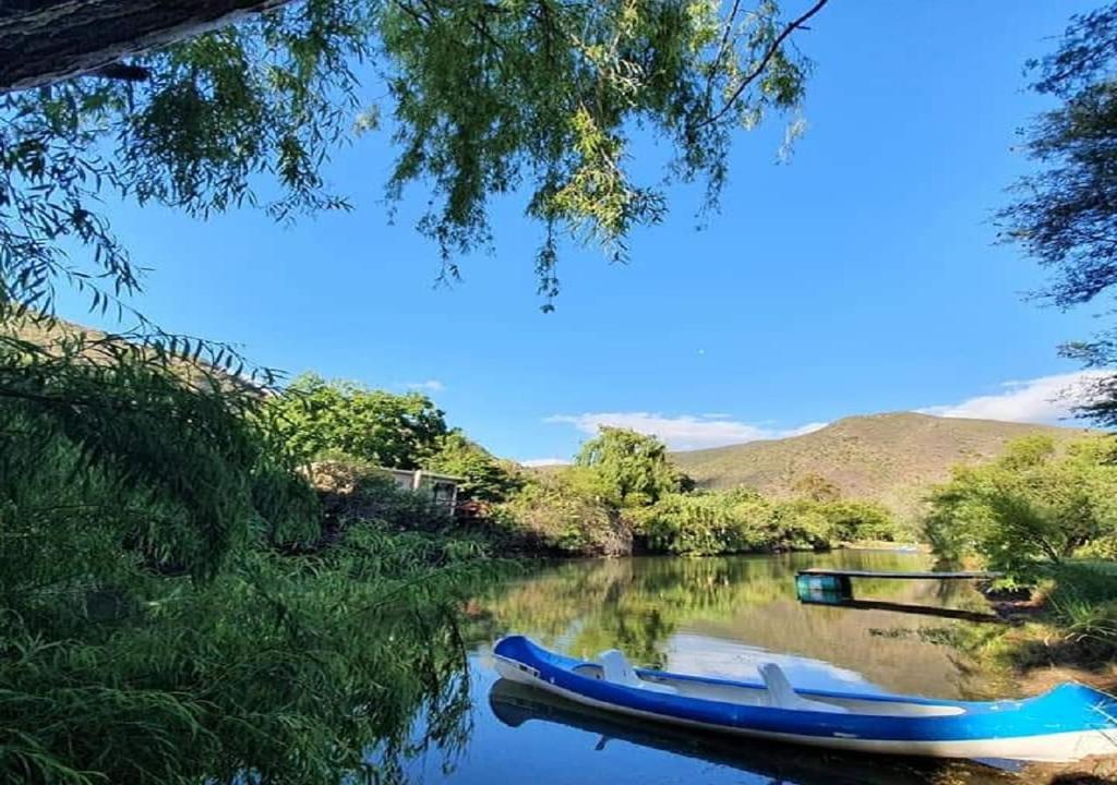 Old Mill Lodge, Seasonal Working Ostrich Farm & Restaurant, Oudtshoorn photo 4