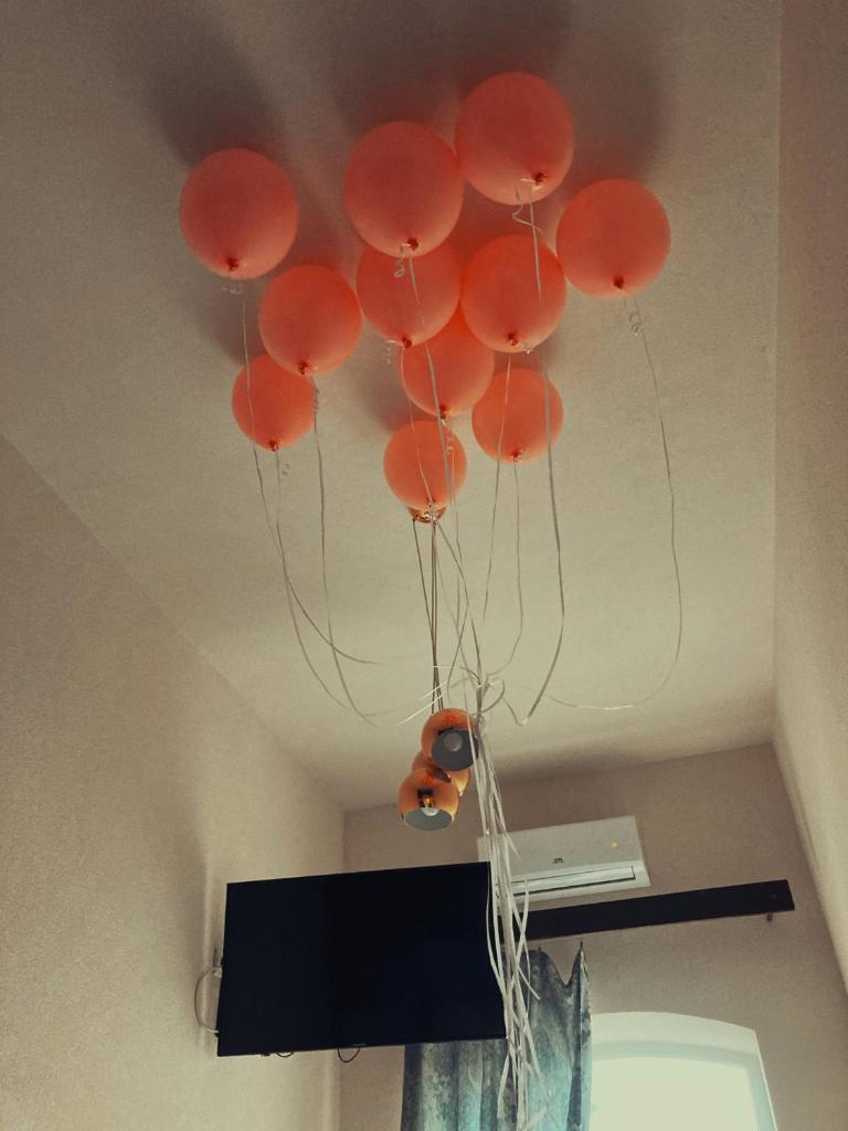 Marinesko Apartments photo 3