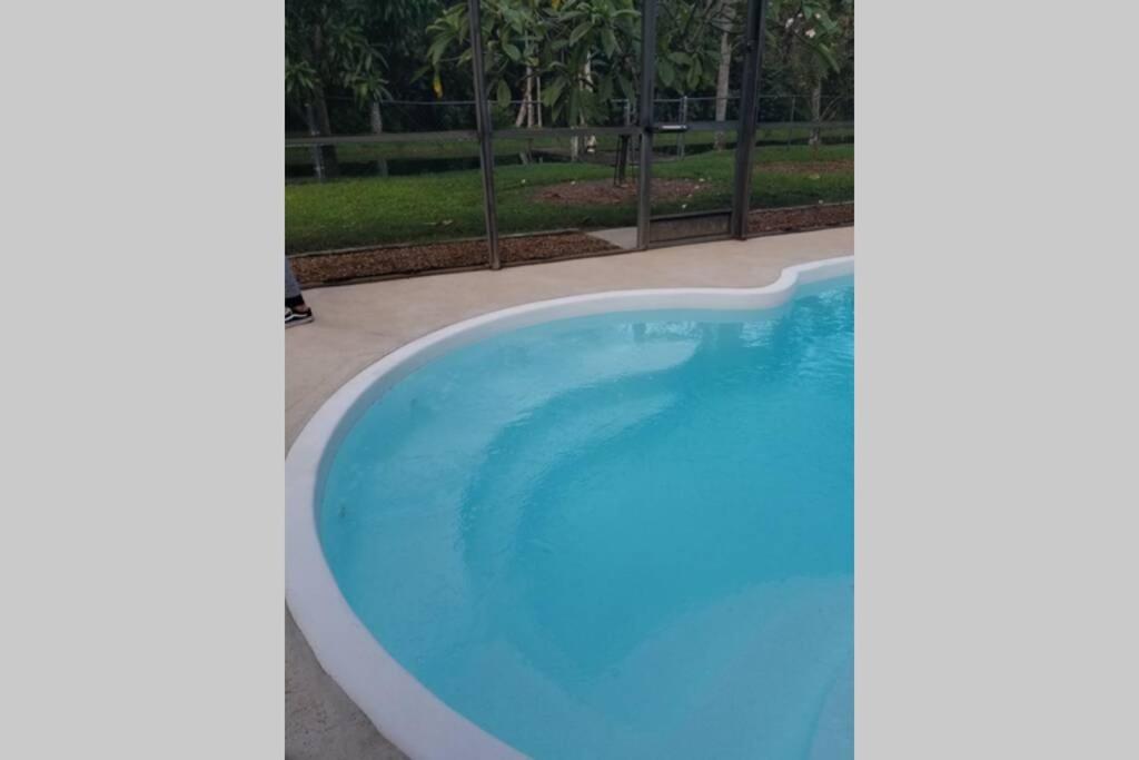 Bonita Oasis photo 1