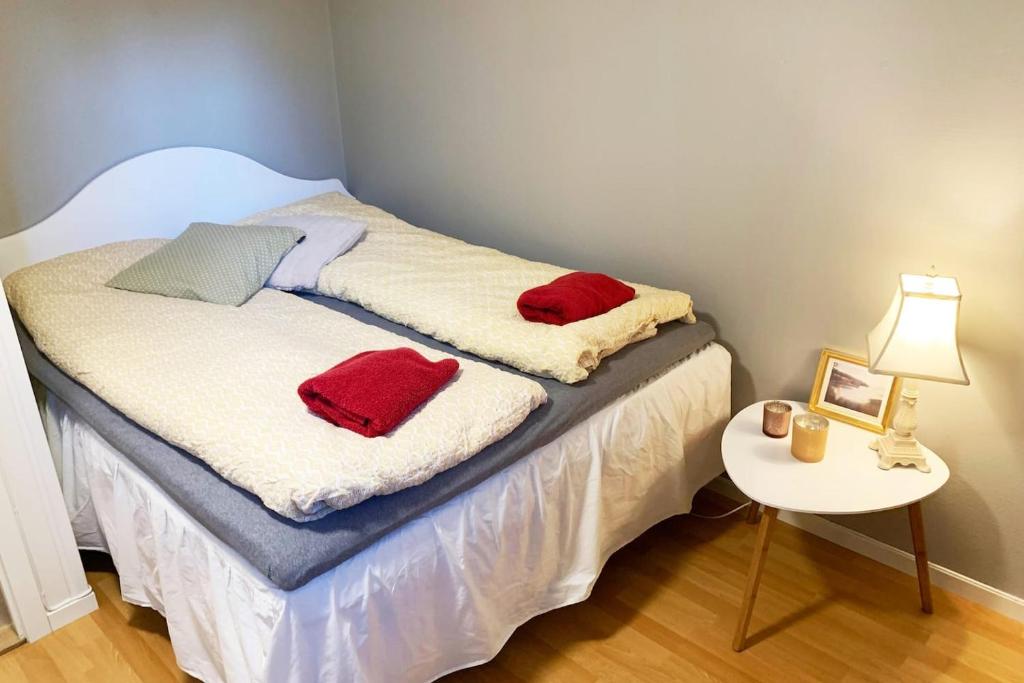Newly renovated basement apartment photo 1