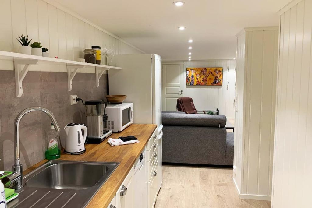 Newly renovated basement apartment photo 2